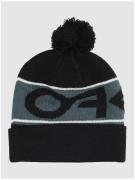 Oakley Factory Cuff Beanie sort