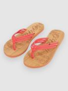 O'Neill Ditsy Sandaler rød