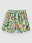 Patagonia Baggies Kids Shorts grøn
