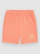 O'Neill Heart Kids Shorts pink