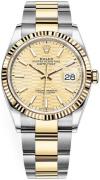 Rolex Dameur 126233-0040 Datejust 36 Guld/18 karat guld Ø36 mm