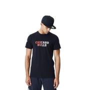 Chicago Bulls Gradient Wordmark Tee