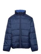 Jacket Reversible Foret Jakke Blue Lindex