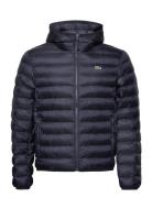 Parkas & Blousons Foret Jakke Navy Lacoste