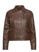 Kaley Leather Biker Læderjakke Skindjakke Brown Jofama