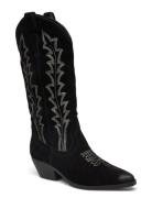 Wildcard Boot Lange Støvler Black Steve Madden