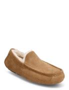 M Ascot Slippers Hjemmesko Beige UGG