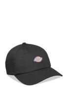 Hardwick Accessories Headwear Caps Black Dickies