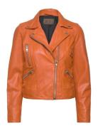 Kaley Leather Biker Læderjakke Skindjakke Orange Jofama