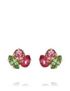 Ana Earrings Gold Accessories Jewellery Earrings Studs Red Caroline Sv...