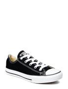 Chuck Taylor All Star Shoes Sneakers Canva Sneakers Black Converse