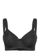 Adamo Basic Padded Wired Bra Lingerie Bras & Tops Full Cup Bras Black ...