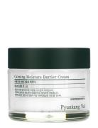 Calming Moisture Barrier Cream Fugtighedscreme Dagcreme Nude Pyunkang ...