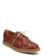 Shoes - Flat - With Lace Snøresko Flade Brown ANGULUS