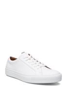 Abel Low-top Sneakers White Lloyd