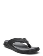 Mens Sargo Sandal - Sunview Klipklapper Sandaler Black Skechers