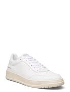 Ace Sneaker Low-top Sneakers White Steve Madden