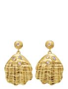 Palma Earring Ørestickere Smykker Gold Maanesten