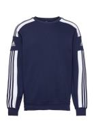 Squadra21 Sweat Top Sport Sweatshirts & Hoodies Sweatshirts Blue Adida...