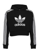 Adicolor Cropped Hoodie Tops Sweatshirts & Hoodies Hoodies Black Adida...