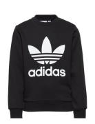 Trefoil Crew Tops Sweatshirts & Hoodies Sweatshirts Black Adidas Origi...