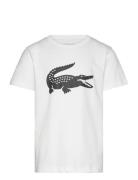 Tee-Shirt&Turtle Sport T-Kortærmet Skjorte White Lacoste