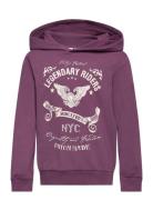 Nkmvugo Ls Sweat Wh Bru O1 Tops Sweatshirts & Hoodies Hoodies Purple N...