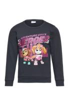 Nmfoditte Pawpatrol Sweat Bru Cplg Tops Sweatshirts & Hoodies Sweatshi...