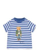 Striped Polo Bear Cotton Jersey Tee Tops T-Kortærmet Skjorte Blue Ralp...