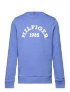 Hilfiger 1985 Sweatshirt Tops Sweatshirts & Hoodies Sweatshirts Blue T...