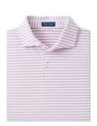 Albatross Cotton Blend Pique Polo - Edwin Spread C Tops Polos Short-sl...