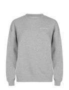 Iconic Sweatshirt Sport Sweatshirts & Hoodies Sweatshirts Grey Röhnisc...