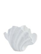 Shella Decoration Shell Home Decoration Decorative Accessories-details...