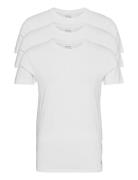 Bci Cotton-3Pk-Ucr Tops T-Kortærmet Skjorte White Polo Ralph Lauren Un...