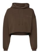 Pro Cropped Sweat Hoodie Tops Sweatshirts & Hoodies Hoodies Brown H2O ...