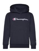 Hooded Sweatshirt Sport Sweatshirts & Hoodies Hoodies Navy Champion