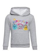 Sweat Kangourou Tops Sweatshirts & Hoodies Hoodies Grey Paw Patrol