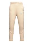 Evostripe Pants B Sport Sweatpants Beige PUMA