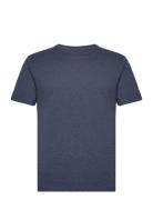 Basic T-Shirt - Gots/Vegan Tops T-Kortærmet Skjorte Navy Knowledge Cot...