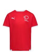 Teamliga Jersey Jr Sport T-Kortærmet Skjorte Red PUMA