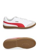 King 21 It Sport Sneakers Low-top Sneakers White PUMA