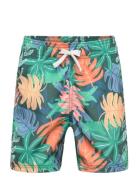 Swimshorts Aop Badeshorts Multi/patterned Lindex