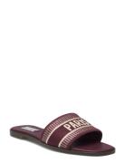 Knox Sandal Flade Sandaler Burgundy Steve Madden