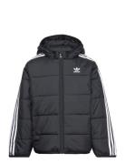 Padded Jacket Foret Jakke Black Adidas Originals