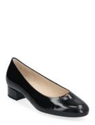 Pumps Shoes Heels Pumps Classic Black Gabor