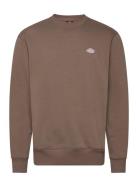 Summerdale Designers Sweatshirts & Hoodies Sweatshirts Brown Dickies