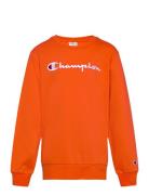 Crewneck Sweatshirt Tops Sweatshirts & Hoodies Sweatshirts Orange Cham...