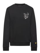 3D Eagle Graphic Sweatshirt Tops Sweatshirts & Hoodies Sweatshirts Bla...