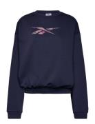 Modern Safari Coveru Sport Sweatshirts & Hoodies Sweatshirts Navy Reeb...