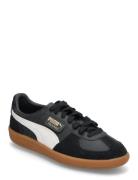 Palermo Lth Sport Sneakers Low-top Sneakers Black PUMA